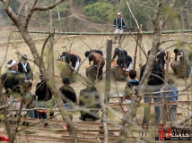 白裤瑶“砍牛”随拍