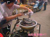 想吃吗？？