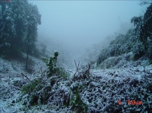 见过南国的雪吗？