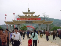 在敢壮山随手拍的