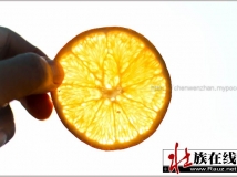 行摄--朋友的果园