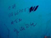 厕所文化：是宁明的请加QQ，交友